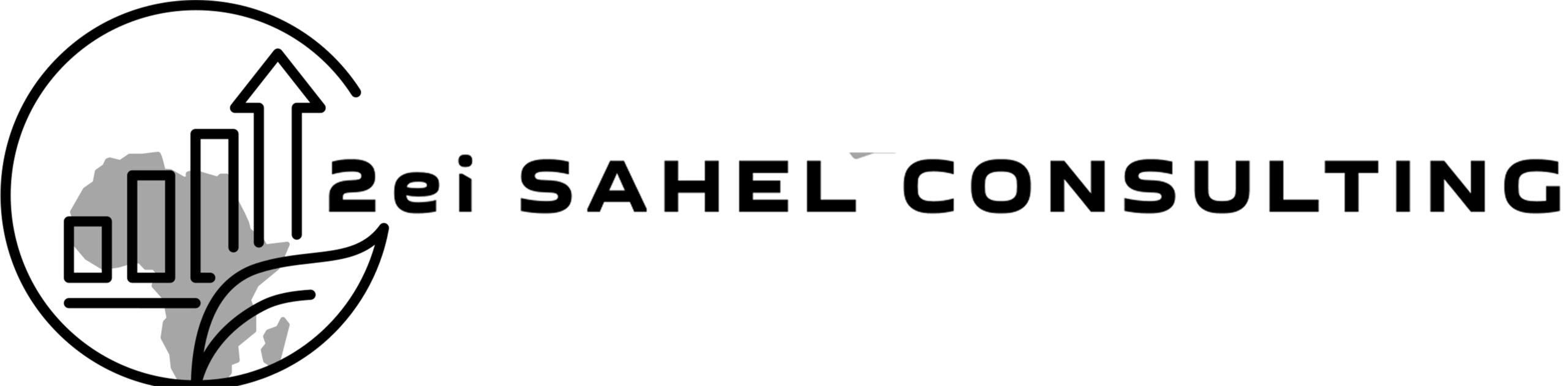 2EI SAHEL CONSULTING